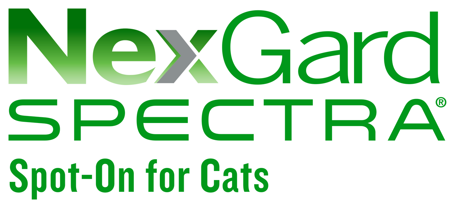 Nexgard Spectra Flea, Ticks, Heartworm and All Wormer Treatment for Cats