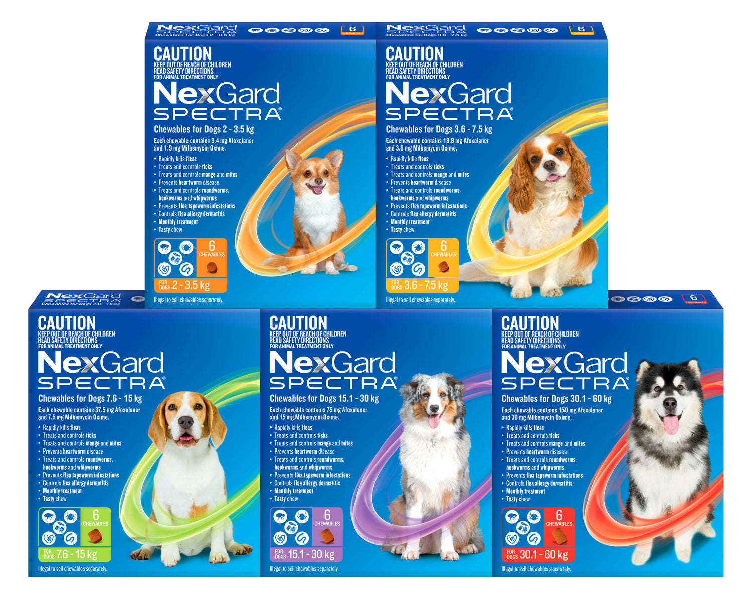 Nexgard Spectra For Dogs: The All-in-One Treatment