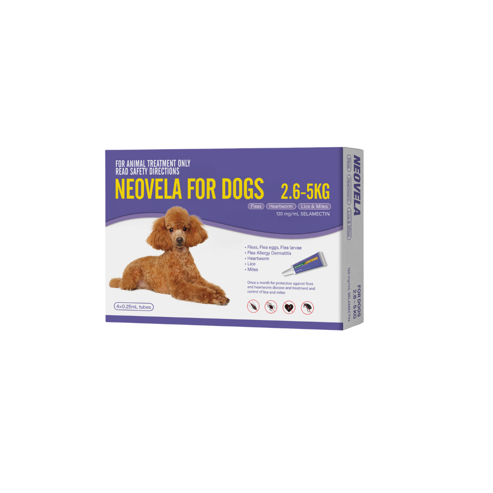 Neovela For Small Dogs 5.7 - 11lbs Purple 4pk