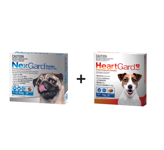 Nexgard Chewables And Heartgard Plus Bundle For Dogs, 10.1-24 lbs, (Blue Bundle)