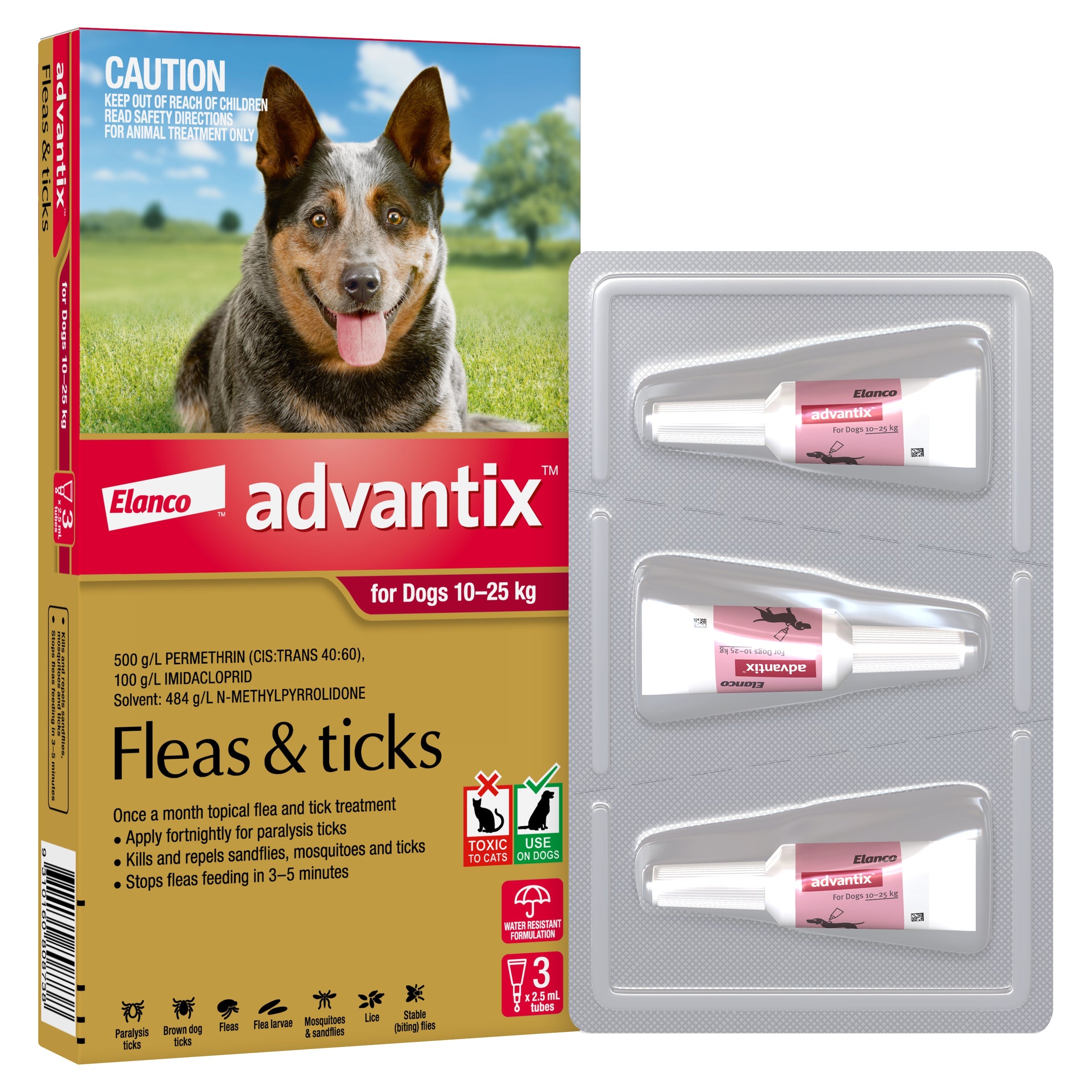 Advantix dog best sale