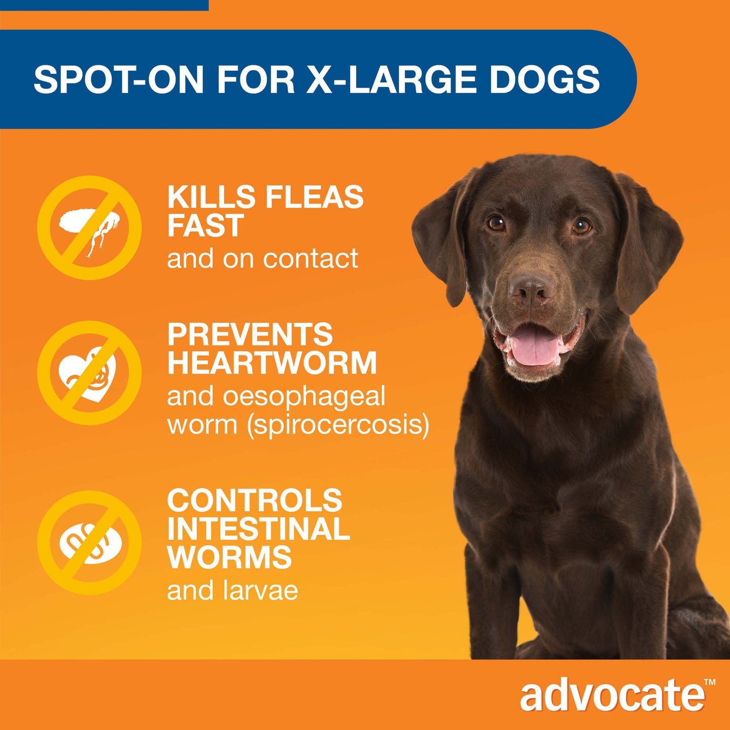 Advocate Spot-On For Dogs over 55lbs (25kg up)