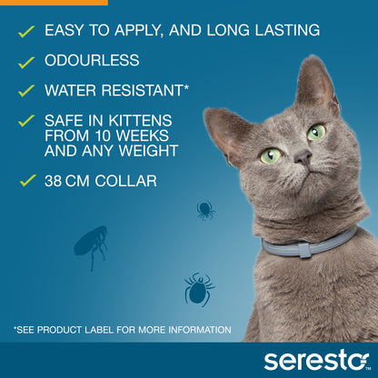 Seresto Flea and Tick Collar for Cats and Kittens (Orange)