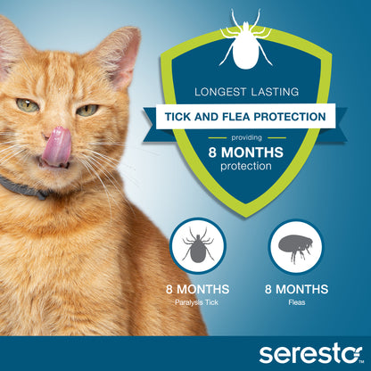 Seresto Flea and Tick Collar for Cats and Kittens (Orange)