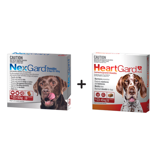 Nexgard Chewables And Heartgard Plus Bundle For Dogs, 60.1-121 lbs, (Red Bundle)