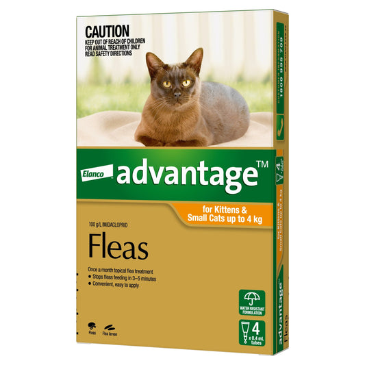 Advantage Cat Health 4 Advantage™ Orange for Small Cats 0-4kg