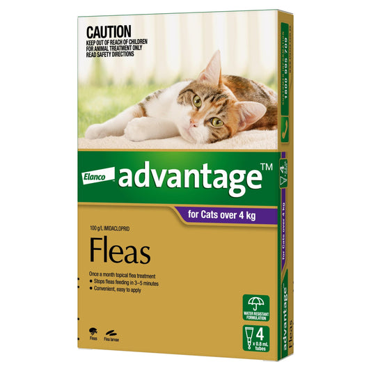 Advantage Cat Health 4 Advantage™ Purple for Large Cats over 4kg