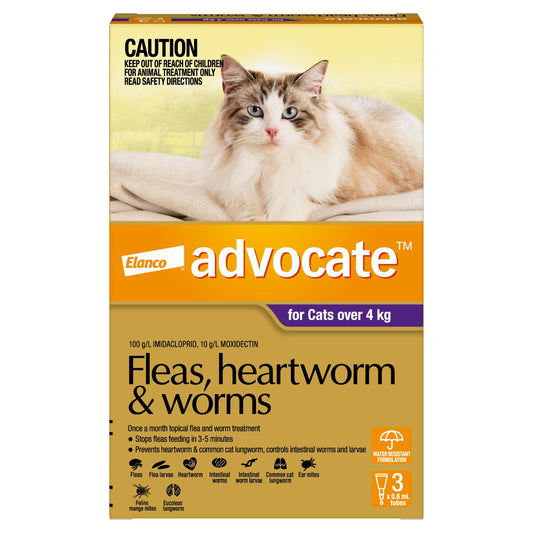 Advocate Cat Health 3 Advocate™ Purple for Large Cats — over 4kg