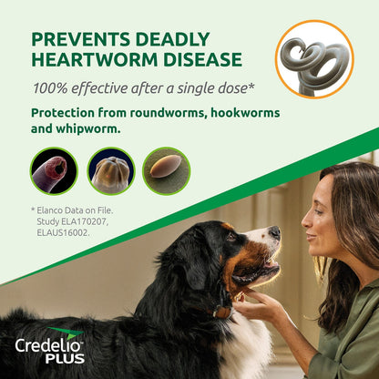 Credelio Dog Health Credelio™ PLUS  Green For Large Dogs 11-22 kg