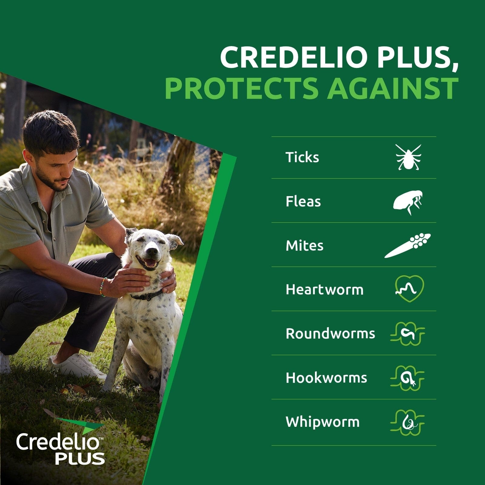 Credelio Dog Health Credelio™ PLUS Orange For Medium  Dogs 5.5-11 kg