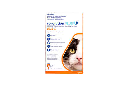 Revolution Plus Medium Cats 5.6 - 11lbs (Orange)