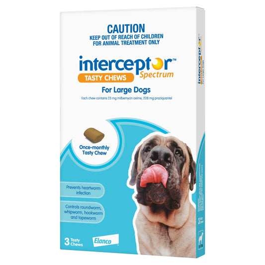 INTERCEPTOR Dog Health Interceptor™ Spectrum Blue Tasty Chews for Large Dogs 22 - 45kg