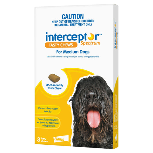INTERCEPTOR Dog Health Interceptor™ Spectrum Orange Tasty Chews for Medium Dogs 11 - 22kg